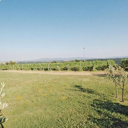 Agriturismo Fattoria Il Piano - Appartamento Aia - San Gimignano Extérieur photo